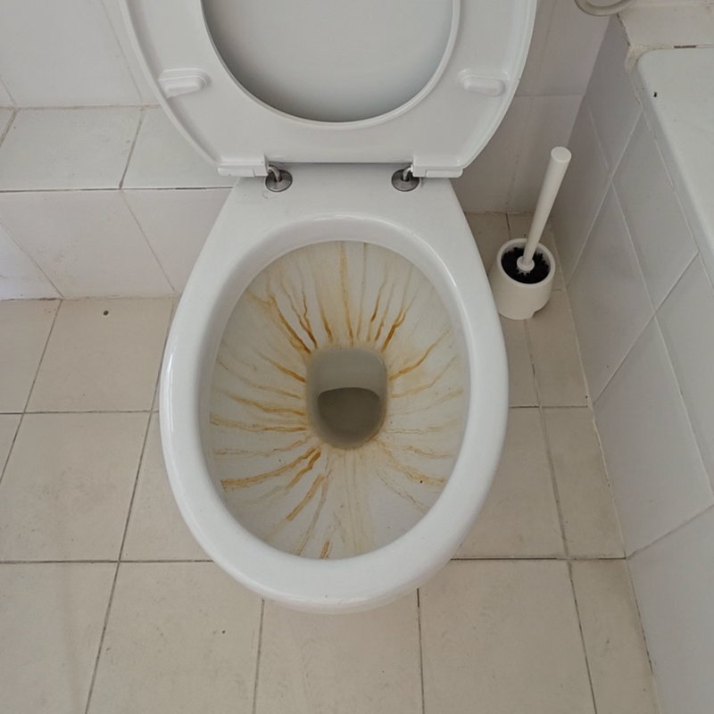 האסלה מזעזעת בדירה השכורה ?! חמש דקות והיא מבריקה! 🚽✨🫧