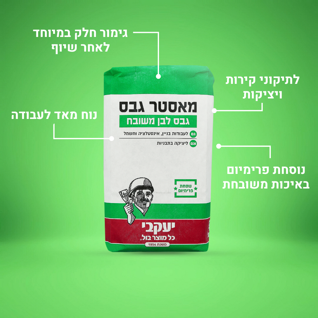 מאסטר גבס