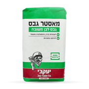 מאסטר גבס