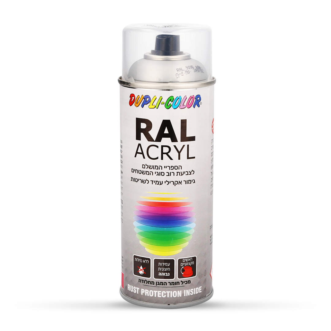 RAL - ספריי צבע תעשייתי כסף 9007