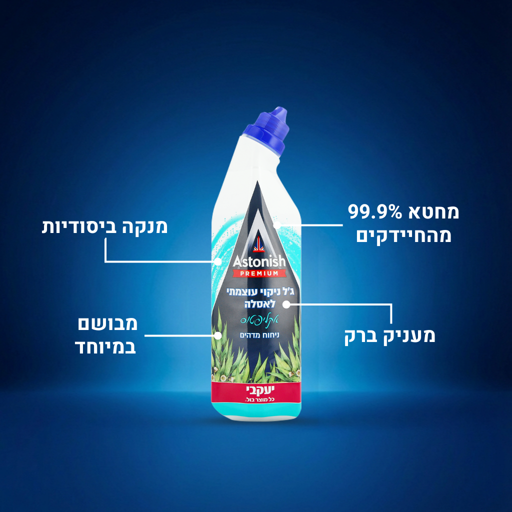 אסטוניש - ג'ל עוצמתי לאסלה - אקליפטוס