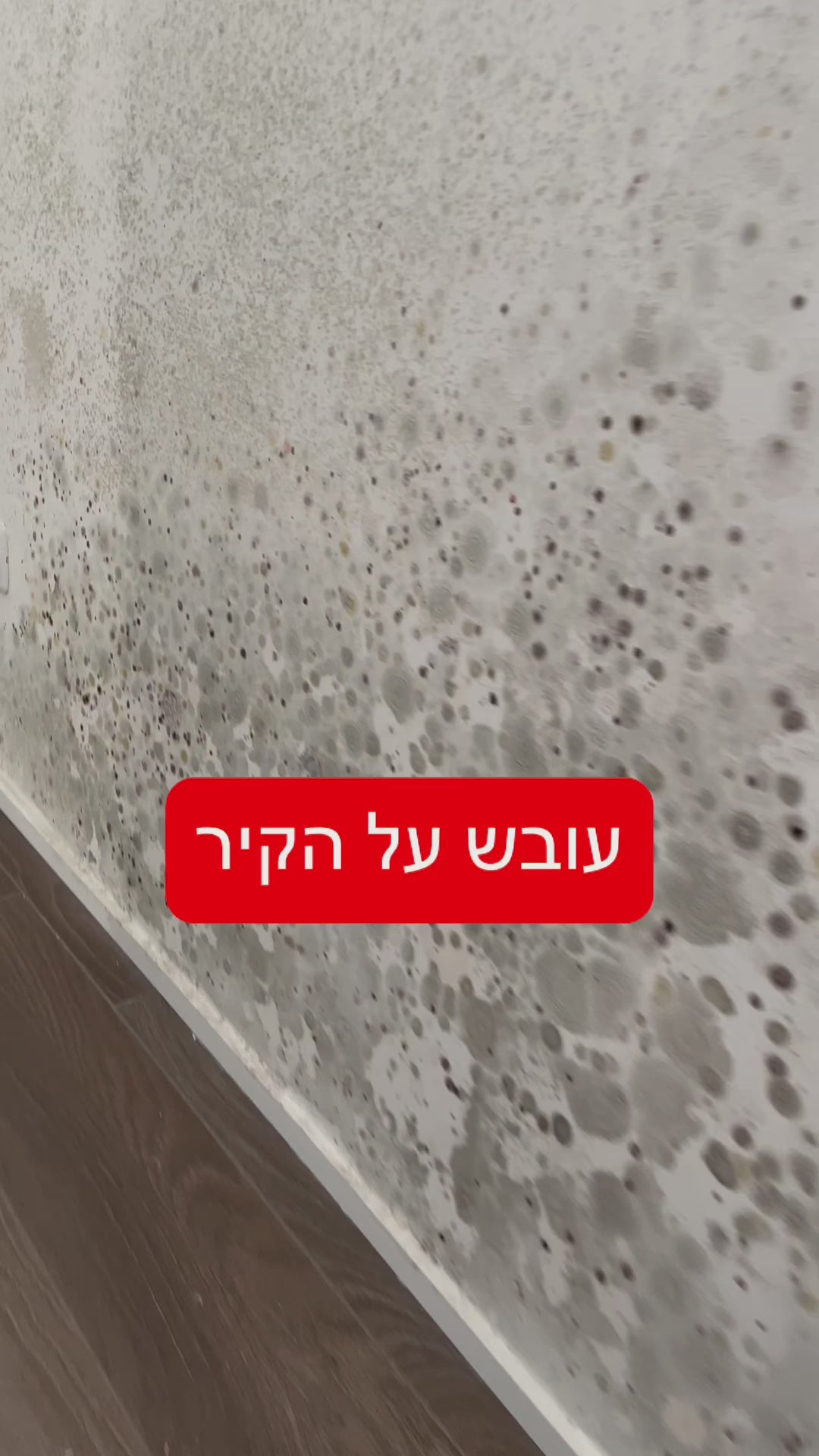 טען וידאו: מלרוד - ג’ל שאינו נוזל - משמיד עובש