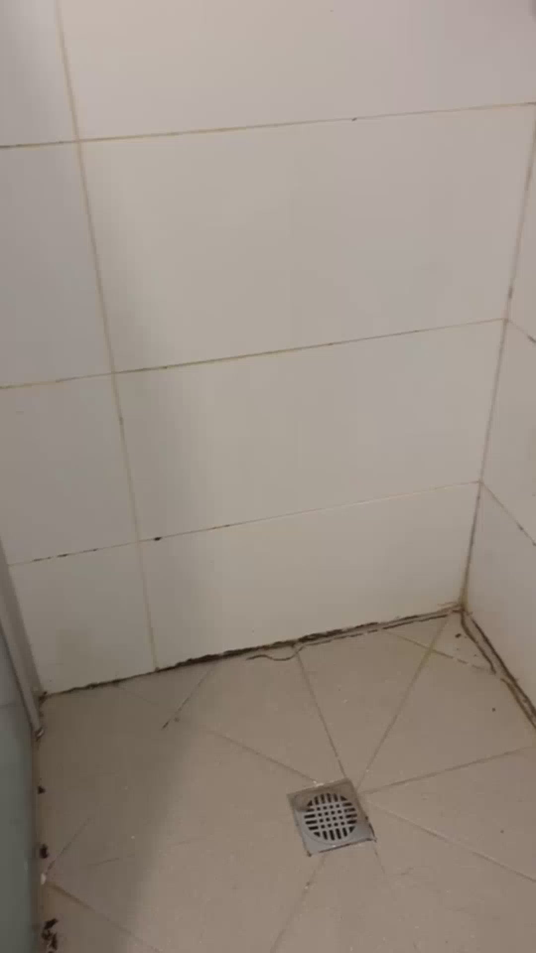 טען וידאו: 