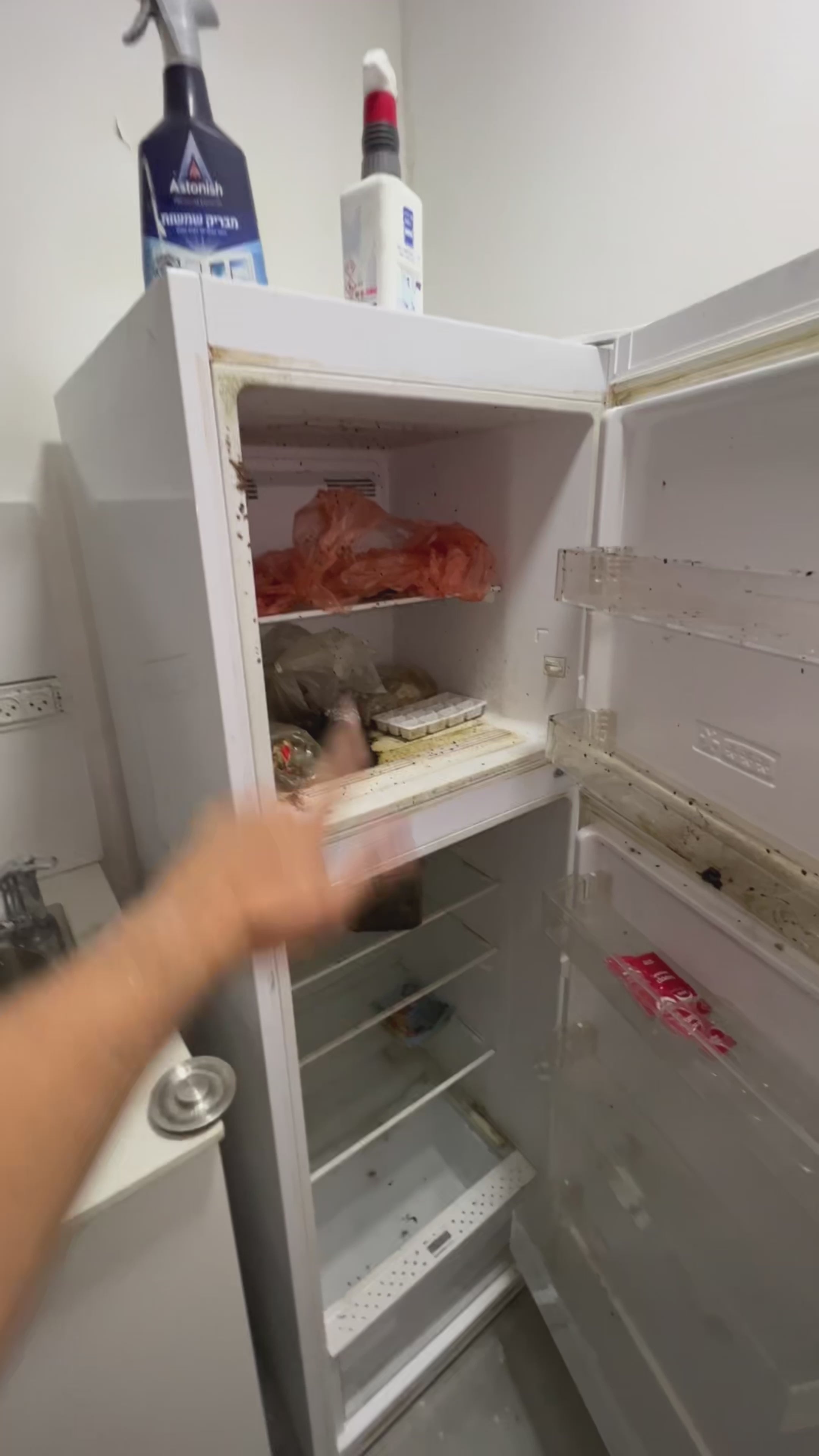 טען וידאו: 