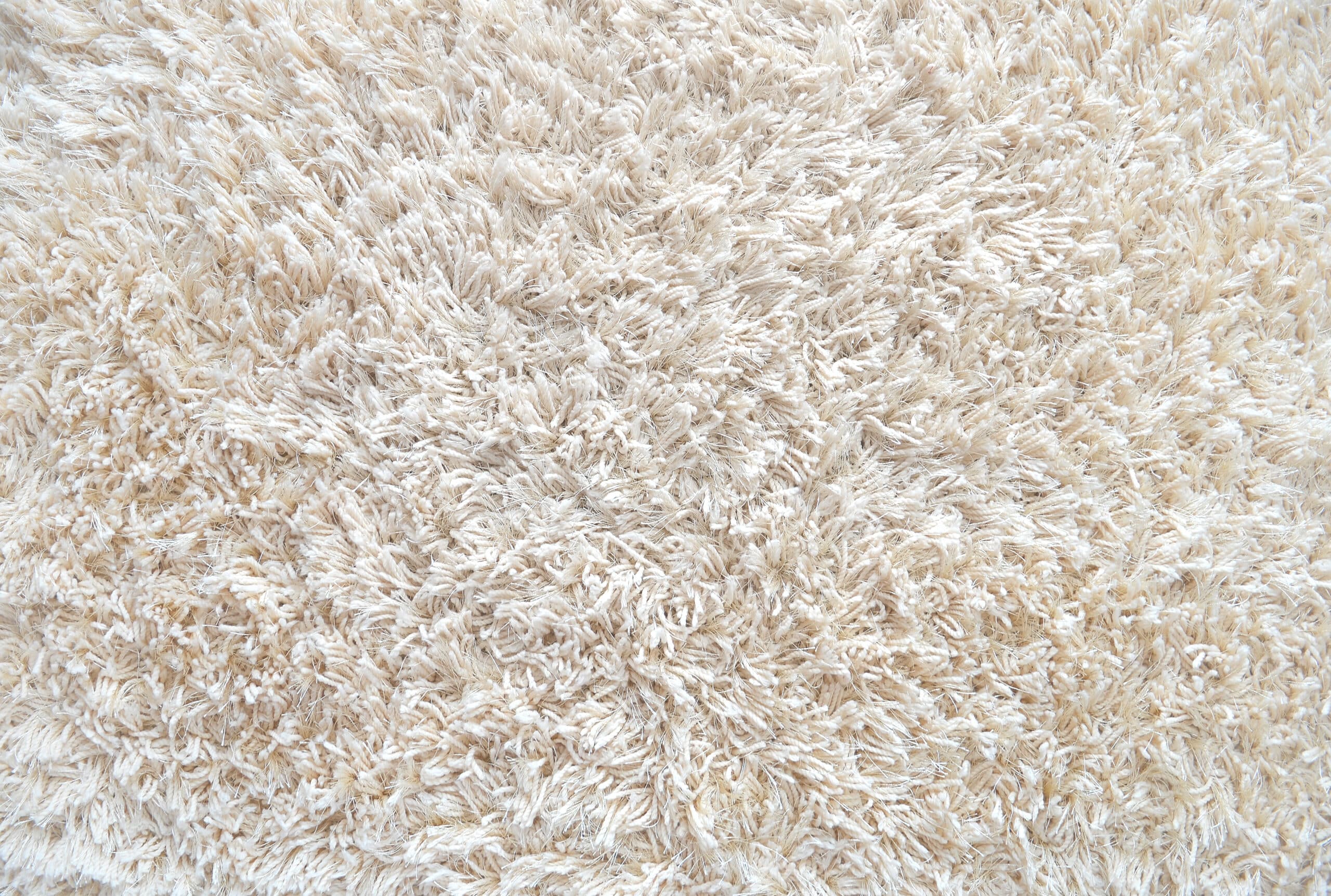 איך לנקות שטיח – מדריך ניקוי שטיחים יסודי
